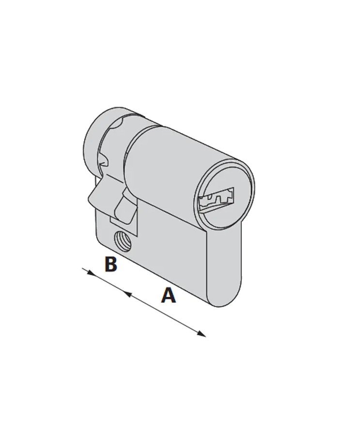 Iseo R6 | Cilindro Europeo con chiave punzonata