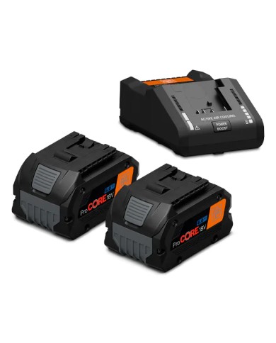 FEIN 92604229010 - Starter set di batterie ProCORE 18 V, 2x 8.0 Ah AS